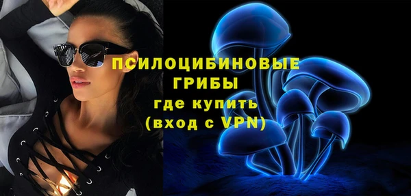 прущий лед Михайловск