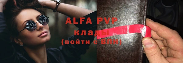 сатива Михайловка