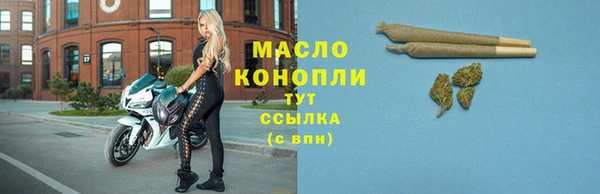 сатива Михайловка