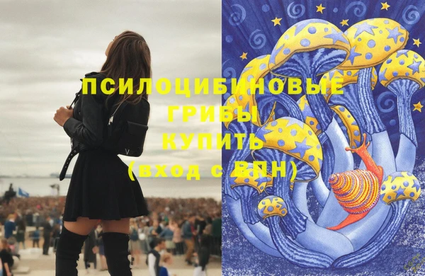 сатива Михайловка