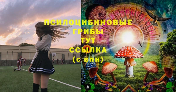 прущий лед Михайловск