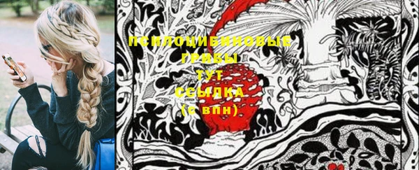 винт Михайлов